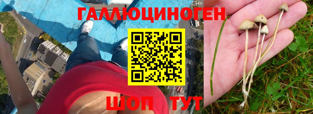 Углич  Галлюциногенные грибы MAGIC MUSHROOMS  Вход с VPN  Галлюциногенные грибы MAGIC MUSHROOMS 